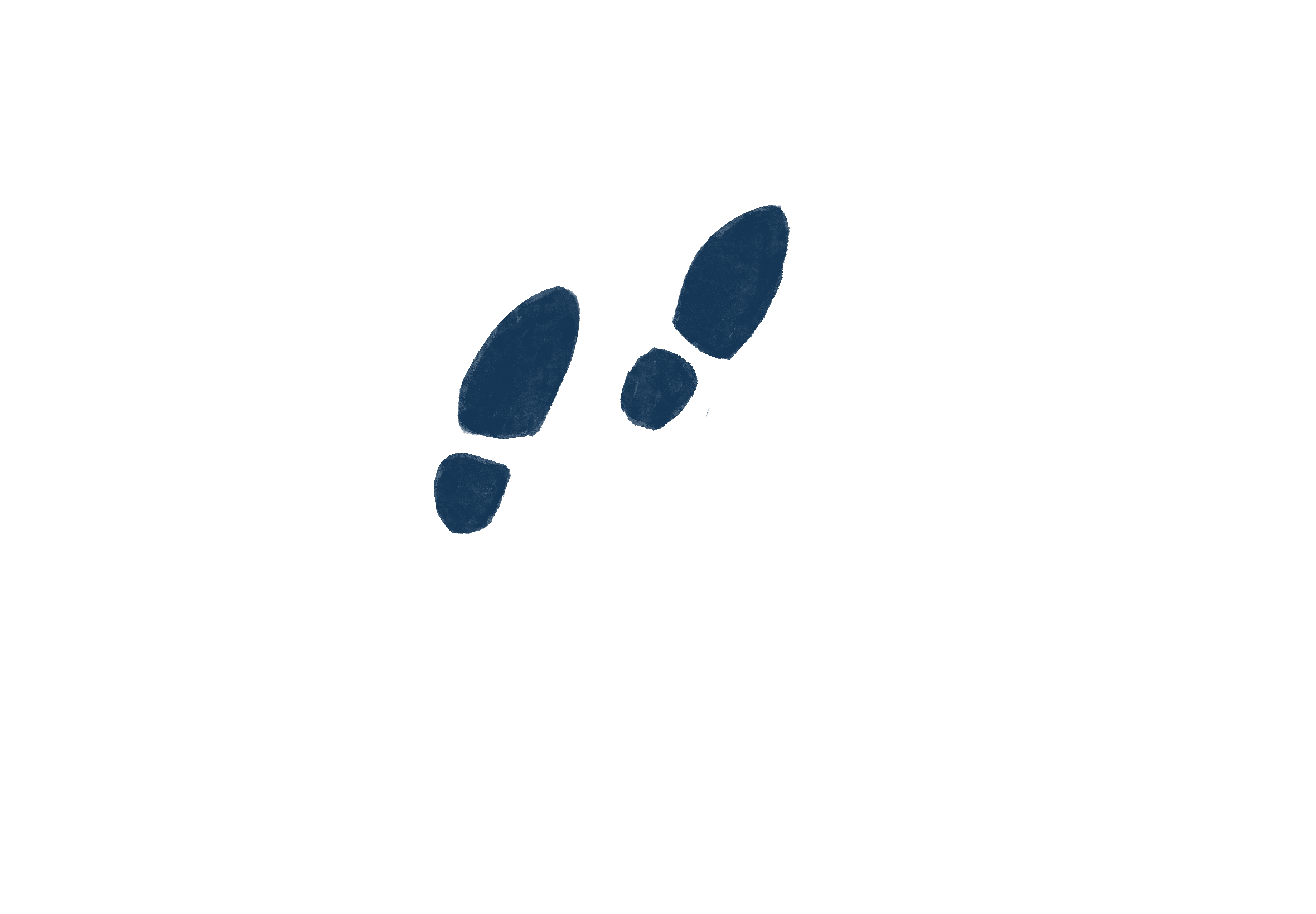 Flow Image